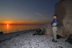 Anticipation Anticipation