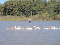 Heiko has company Heiko has company