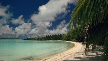 Tropical beach Tropical beach