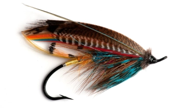 Fiery Brown Fiery Brown