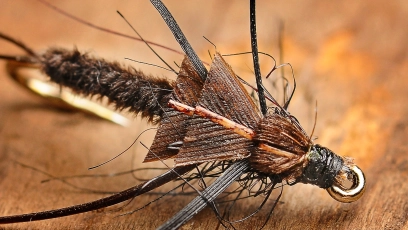 A rubber leg nymph A rubber leg nymph