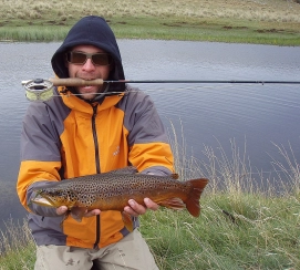 Black and orange Black and orange