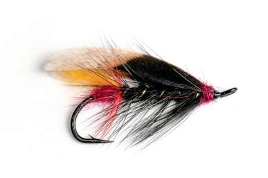 Woolly head Woolly head