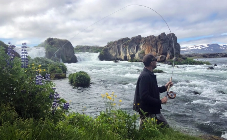 Salmon fishing in Iceland Salmon fishing in Iceland