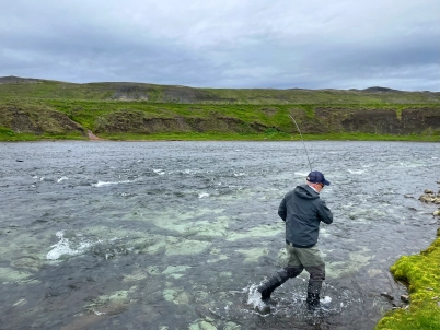 Getting a run for your money Getting a run for your money