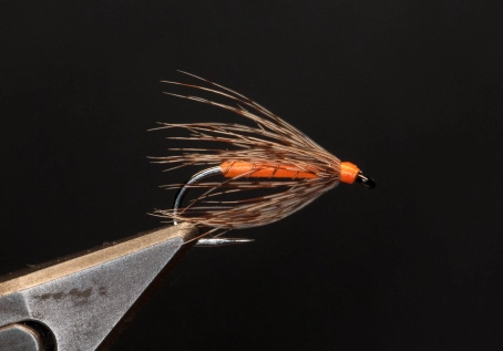 Swept back wet fly hackle Swept back wet fly hackle