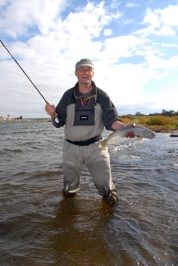 Shallow water fish Shallow water fish