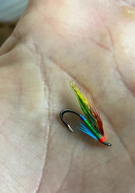 Not a big fly Not a big fly