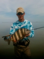 Sheepshead Sheepshead