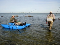 Being social Being social