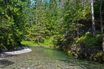 The first impression The first impression