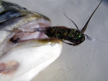 Loose hook Loose hook