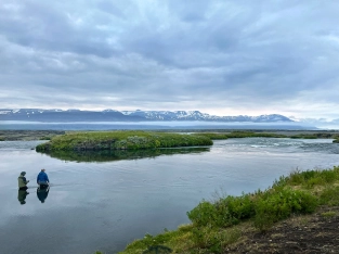 In a calm pool In a calm pool