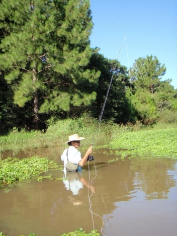 Carolina stalking Carolina stalking