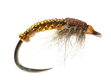 Brown Genoese Brown Genoese