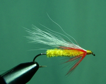 Yellow Hammer Yellow Hammer