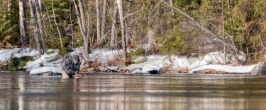 Nice trout Nice trout