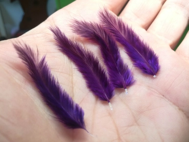 After feathers After feathers