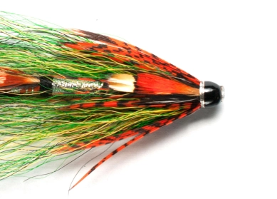 Symmetrical head Symmetrical head