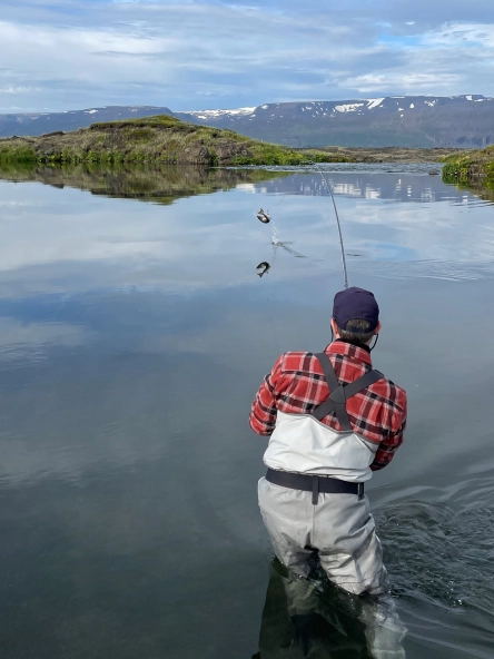 Jumping salmon Jumping salmon