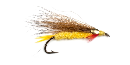 Edson's Dark Tiger Edson's Dark Tiger