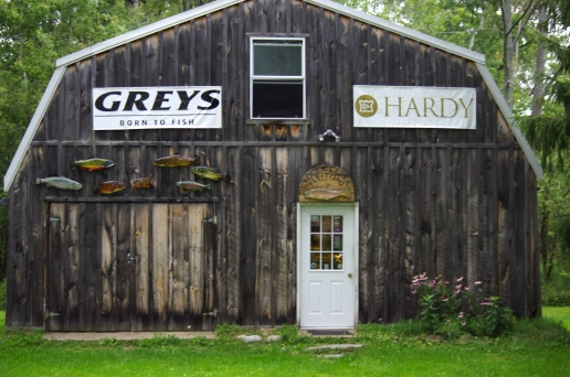 The storefront The storefront