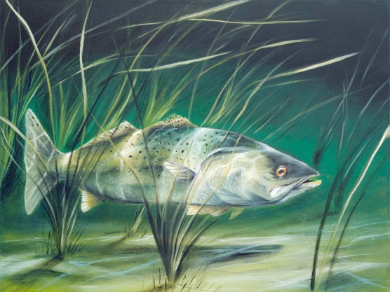 Speckled Ops Speckled Ops