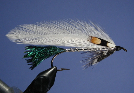 Family Secret Family Secret