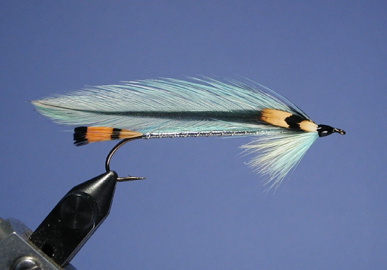 Spencer Bay Spencer Bay