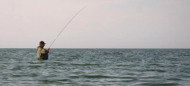 Deep wading Deep wading