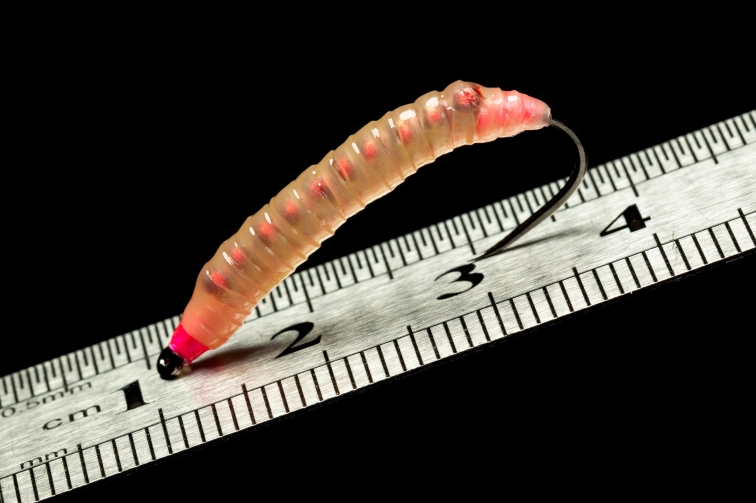 Translucent Translucent