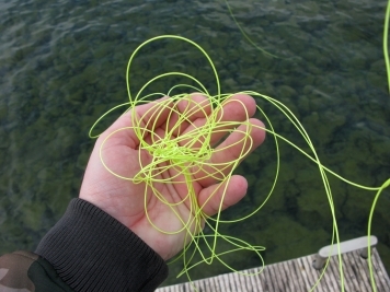 Some lines curl