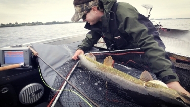 Nice pike are caught