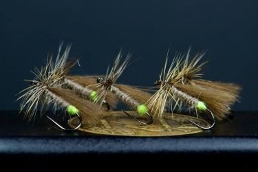 CdC Caddis