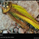 #182 Green Dace - Don Ordes