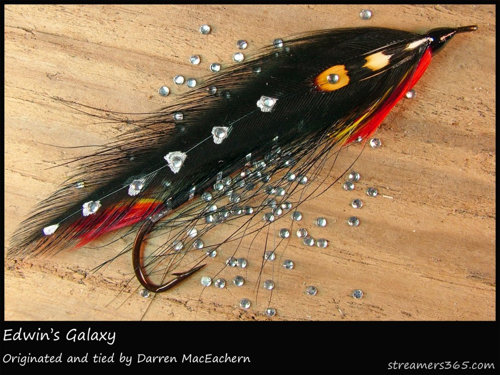 #195 Edwin's Galaxy - Darren MacEachern