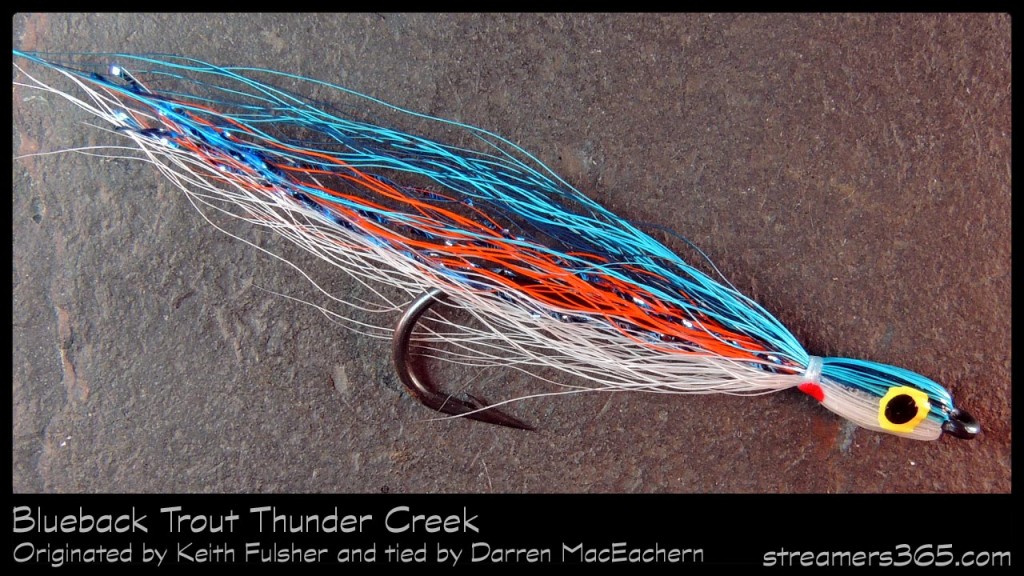 #3-2013 Blueback Trout Thunder Creek - Darren MacEachern