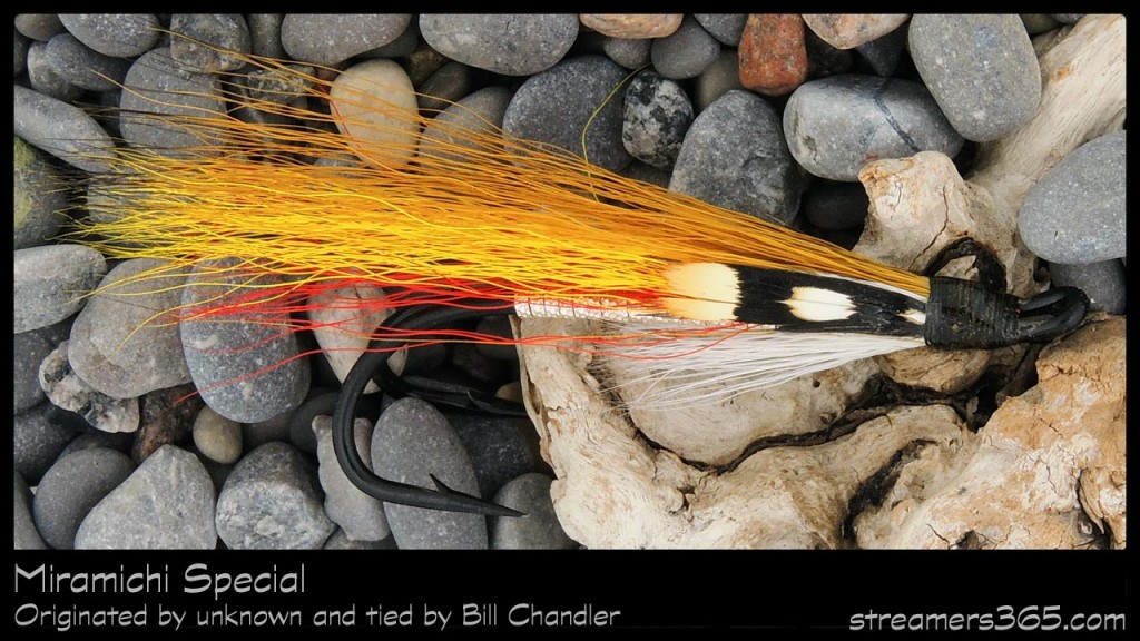 #64-2013 Miramichi Special - Bill Chandler