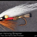 #93-2013 - Royal Coachman Hairwing by Robert Frandsen