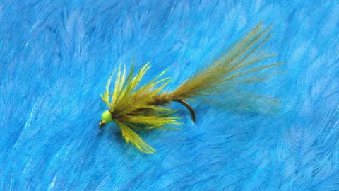 Video thumb for Emu Damsel Nymph