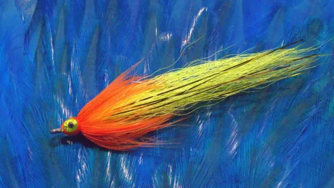 Video thumb for Chico's Yellow & Orange Bendback