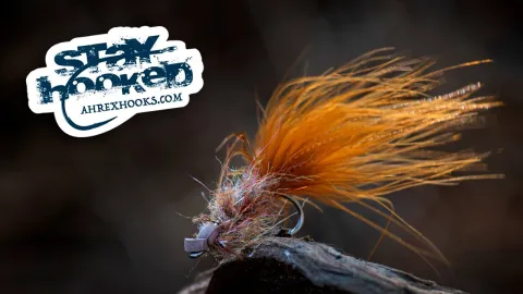 Video thumb for Eriksen's SloMo Worm