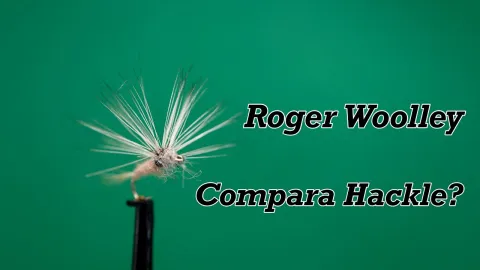 Video thumb for Roger Woolley - Compara Hackle