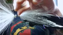 Video thumb for Flashtail Whistler
