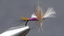 Video thumb for Last Chance Purple Haze