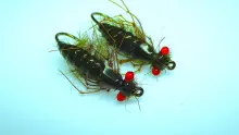 Video thumb for Dragonfly Nymph