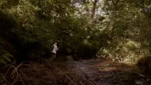 Video thumb for A small stream of the Marches