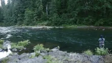 Video thumb for Single Handers & Skaters