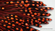Video thumb for Dyeing Jungle Cock Eyes/Feathers