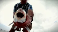 Video thumb for Turks on the Fly!